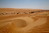 Dünen in der Wahiba Sands Wüste, nahe Bidiya, Ash Sharqiyah, Oman, Arabische Halbinsel