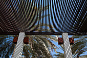 Lattice roof and palm trees at The Chedi Muscat hotel, Muscat, Masqat, Oman, Arabian Peninsula