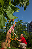 Mann und Frau ernten Karotten, gärtnern im städtischen Schrebergarten, Urban Gardening, Urban Farming, Stadtgarten, Stuttgart, Baden Württemberg, Deutschland