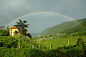 Rainbow over the Rametz castle, wine growing, Merano, Vinschgau, South Tyrol, Trentino-Alto Adige, Italy