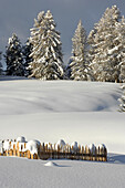 Gartenzaun mit Schneebedeckt, Winterlandschaft, Seiser Alm, Dolomiten, Südtirol, Trentino-Alto Adige, Italien