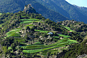 Schloss Juval oberhalb von Weinfeldern, Schnalstal, Vinschgau, Alto Adige, Südtirol, Italien, Europa