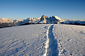 Spuren in verschneiter Berglandschaft in der Abendsonne, Seiseralm, Langkofel, Alto Adige, Südtirol, Italien, Europa