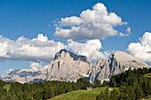 Almwiese und Berge unter weissen Wolken, Seiser Alm, Dolomiten, Alto Adige, Südtirol, Italien, Europa