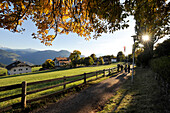 People walking surrounded by autumn landscape, Oberbozen, Ritten, Alto Adige, South Tyrol, Italy