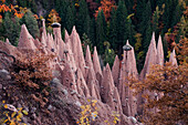 Erdpyramiden zwischen herbstlichen Bäumen, Oberbozen, Ritten, Südtirol, Alto Adige, Italien, Europa