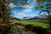 Looking down small country lane to Loch Creran, Argyll & Bute, Scotland