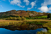 Calm waters of Little Langdale Tarn with Lingmoor Fell behind, Little Langdale, Lake District National Park, Cumbria, England