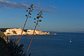 White sea cliffs near Bonifacio, Corse du Sud. Corsica.