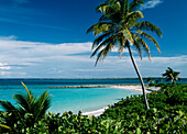 Cabbage Beach, High Angle View, Paradise Island, Nassau, Bahamas