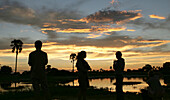 Sunset in the Okavango Delta Botswana