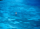 Small catamaran sailing in the shallow waters off Reduit Beach, Rodney Bay as seen from the top of the fort, Pigeon Island, St Lucia.