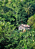 House in the heart of the jungle / rainforest, Tobago.