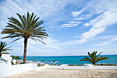 View from sun terrace over palm trees by coast, Hammamet, Tunisia