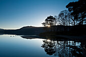 Ducks swimming across calm waters of Derwent Water at dawn, Lake District, Cumbria, England, UK