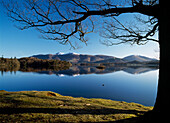 Goose on lake at Derwent Water, Lake District, Cumbria, England
