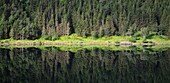 Norway, Vinjo, lakeside forest, panoramic view