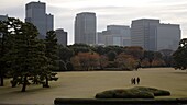 Japan, Tokyo, Marunouchi skyline, Imperial Palace East Garden