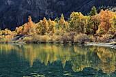 France, Alps, Hautes Alpes, Villars d'Arene, lake in forest in autumn
