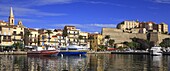 France, Corse, Calvi, harbor