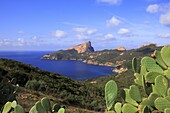 France, Corse, Capo Rosso