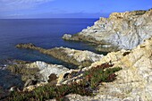 France, Corse, Revelata cape, seaside