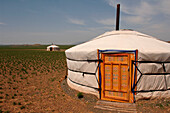 Mongolia, yurts