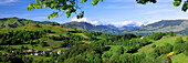 France, Auvergne, Cantal, Puy Mary