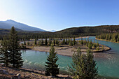 Canada, Alberta, Jasper National Park, confluence of Athabasca and Miette rivers