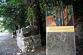 France, Provence Alpes Cote D'Azur, Bouches du Rhône (13), Arles, Les Alyscamps, necropolis and Vincent Van Gogh painting  (unesco world heritage)
