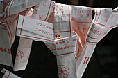 JAPON, TOKYO, Omikuji fortune-telling papers