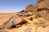 Algeria, Sahara, Grand Erg Occidental, Taghit, Barrebi rock art