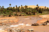 Algeria, Sahara, Grand Erg Occidental, Taghit