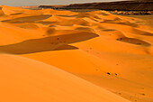 Algeria, Sahara, Grand Erg Occidental, Taghit, sand dunes