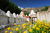 Stupas, Chörten, Kloster Alchi, Alchi, Industal, Ladakh, Jammu und Kashmir, Indien