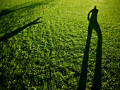 Human Shadow on Green Grass