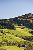 Glottertal, near Freiburg im Breisgau, Black Forest, Baden-Wurttemberg, Germany