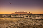 Morgenstimmung am Bloubergstrand mit Tafelberg im Hintergrund, Westkap, Südafrika, RSA, Afrika