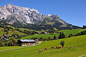 Landschaft am Hochkönig bei Mühlbach, Pongau, Salzburg-Land, Österreich