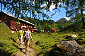 Filzmoosalm im Elmautal am Großarltal, Pongau, Salzburg-Land, Österreich