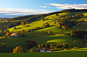 Autumn evening near St Maergen, Southern part of Black Forest, Black Forest, Baden-Wuerttemberg, Germany, Europe