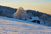 Wintertag in Breitnau-Fahrenberg, Schwarzwald, Baden-Württemberg, Deutschland, Europa
