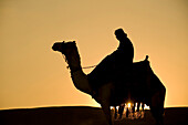 Man on camel at dusk near the Pyramids, Giza, Cairo, Egypt