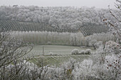 Morning frost in December at Castelnau-Montratier, Lot, Midi-Pyrenees, France