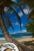 Grenada life buoy leaning against a palm tree on the beach, Carriacou Island, Grenada
