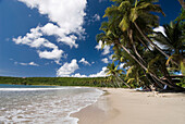 Looking along the beach at La Sagesse, La Sagesse, Grenada