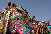 Decorated elephants at Elephant Festival, Jaipur, Rajasthan, India