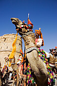 Man riding camel at Jaisalmer festival, Rajasthan, India