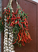 Whole chili plants and long lines of garlic for sale outside shop, Villetta Barrea near Scanno, Abruzzo, Italy