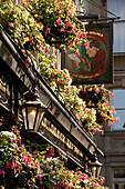 Sherlock Holmes Pub, London, England, UK
